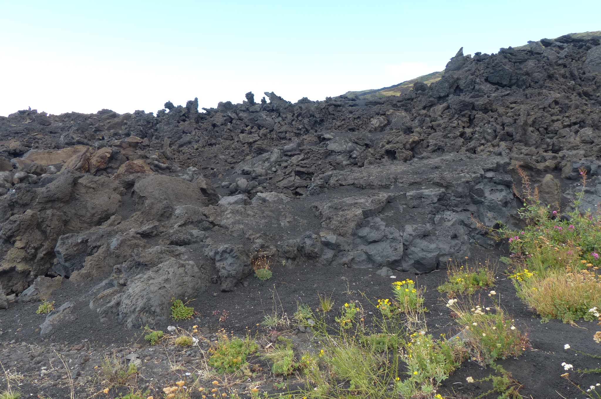 2013-10-02--12.52.24.jpg