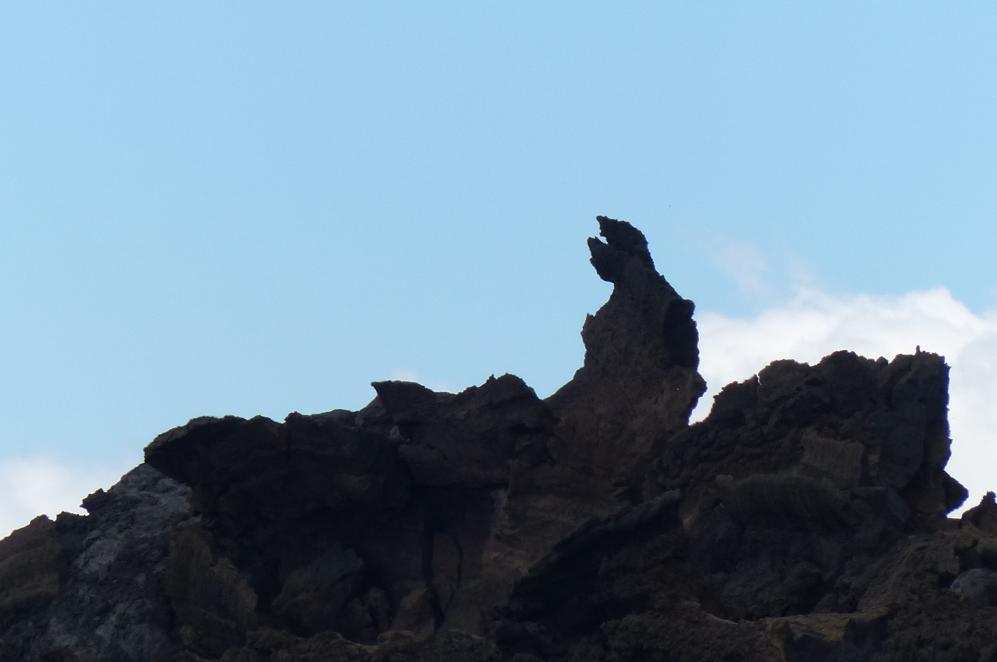 2013-10-02--12.52.49.jpg