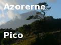 Azores, Pico, november 2006