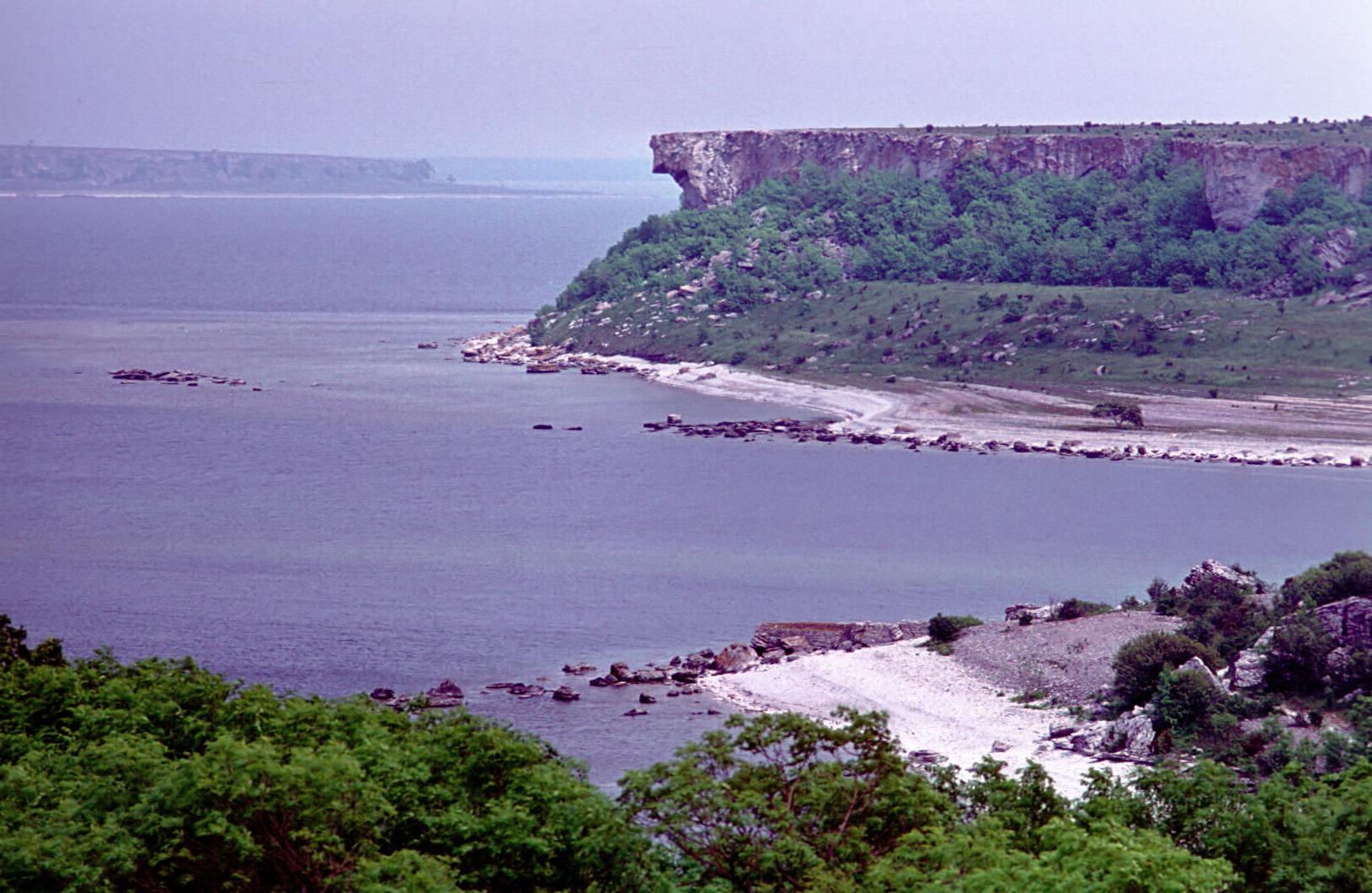 2745.jpg