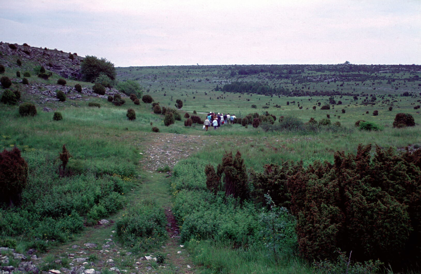 2752.jpg