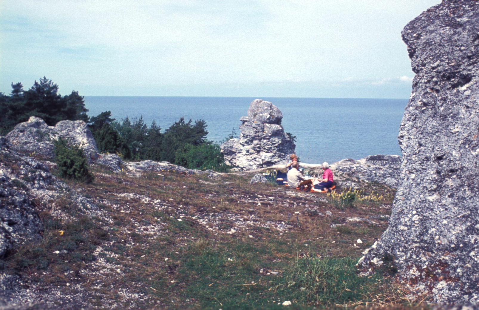 2763.jpg