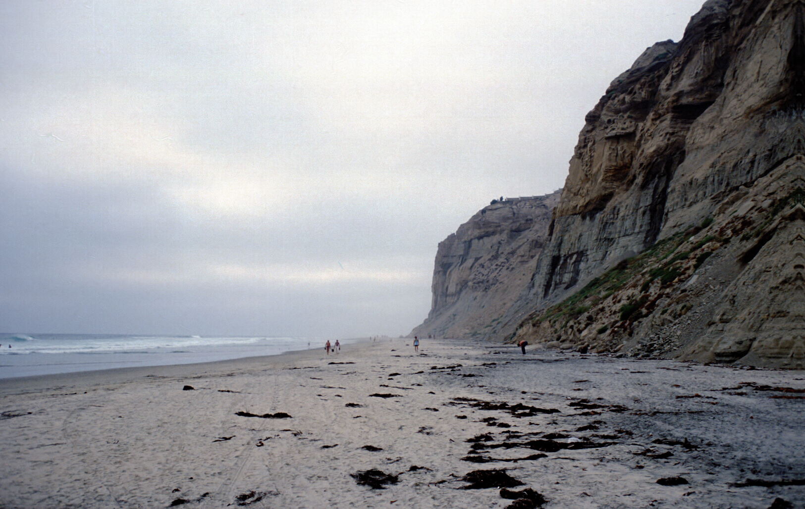 3725.jpg