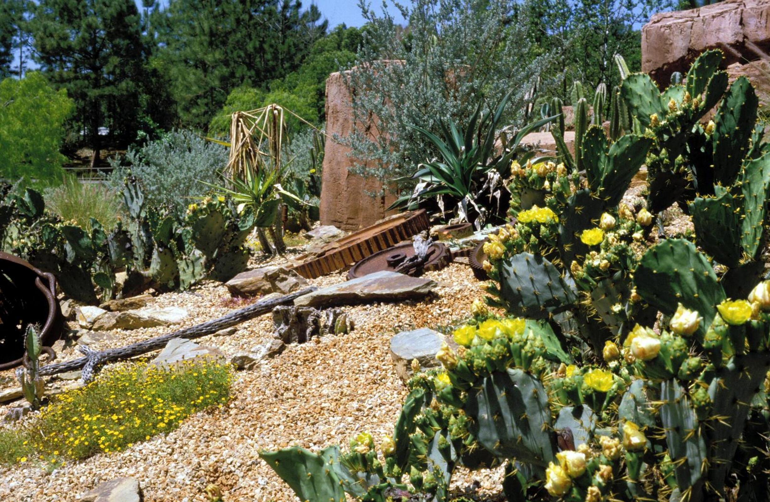 4201.jpg
