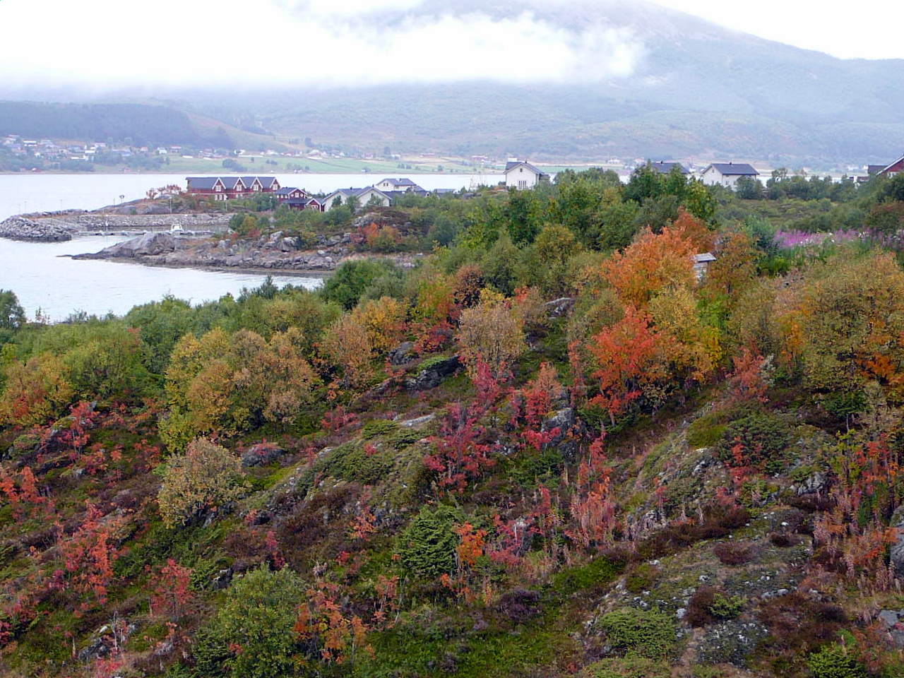 2008-08-14--14.24.30.jpg