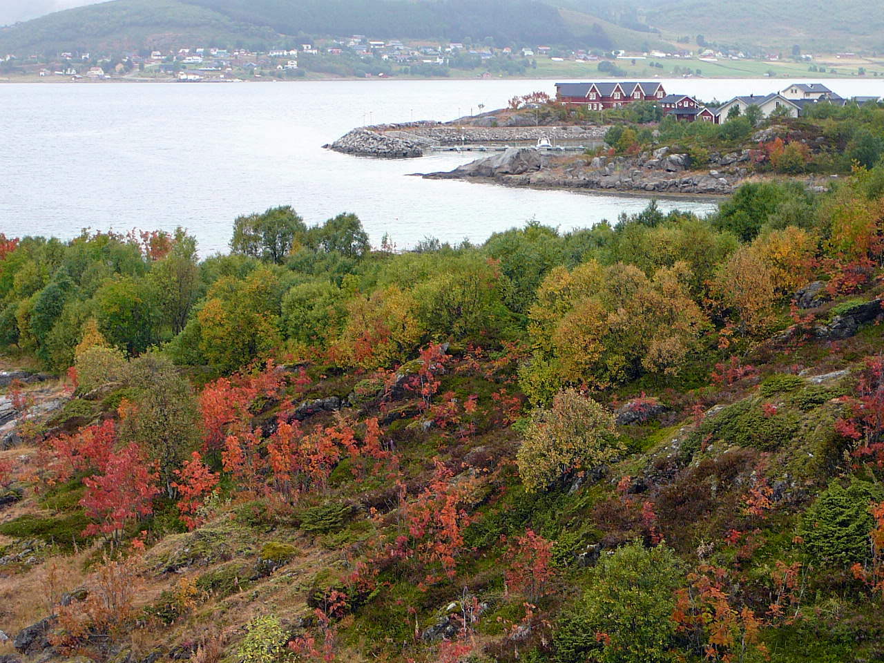 2008-08-14--14.24.49.jpg