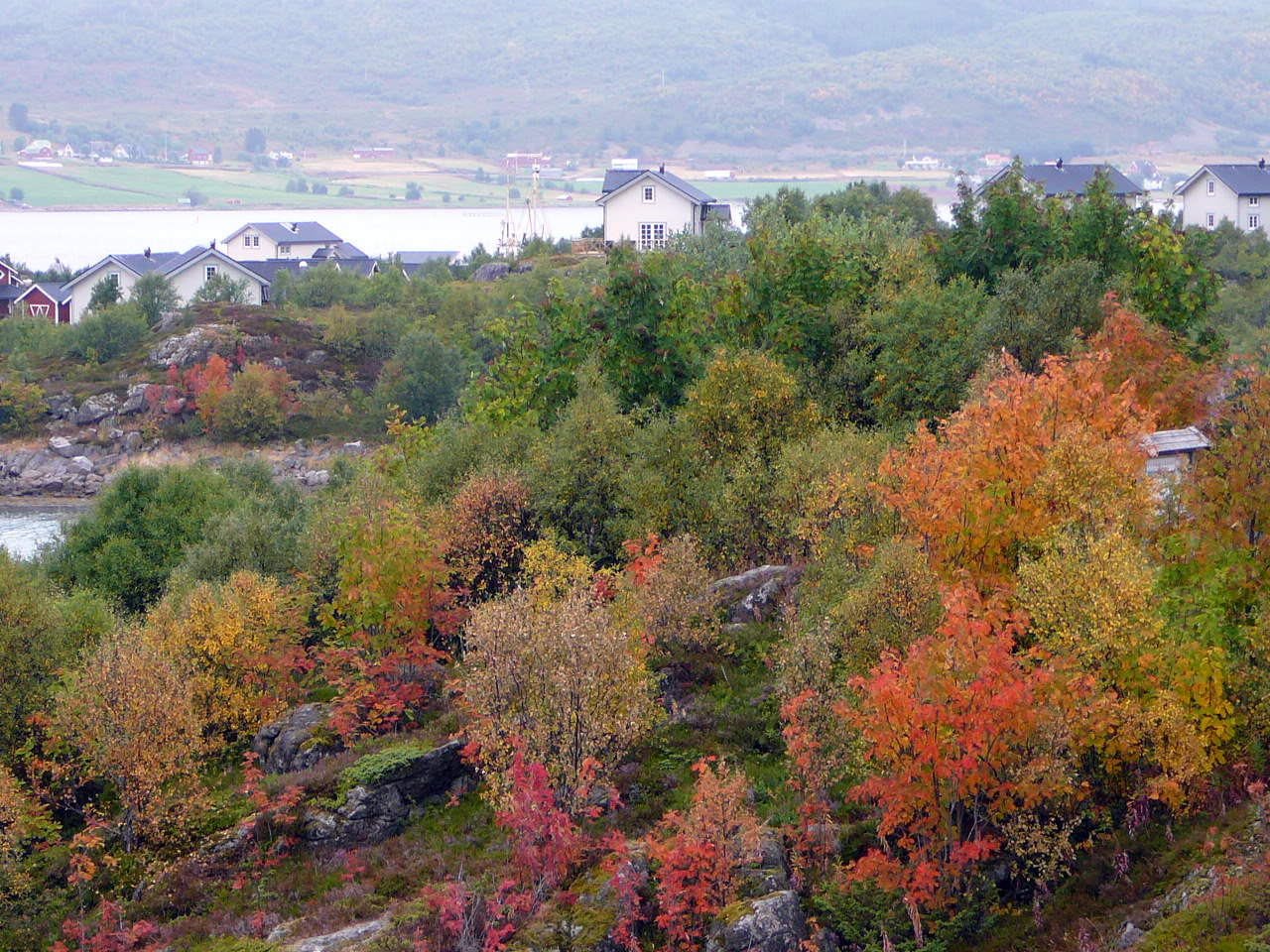 2008-08-14--14.25.15.jpg