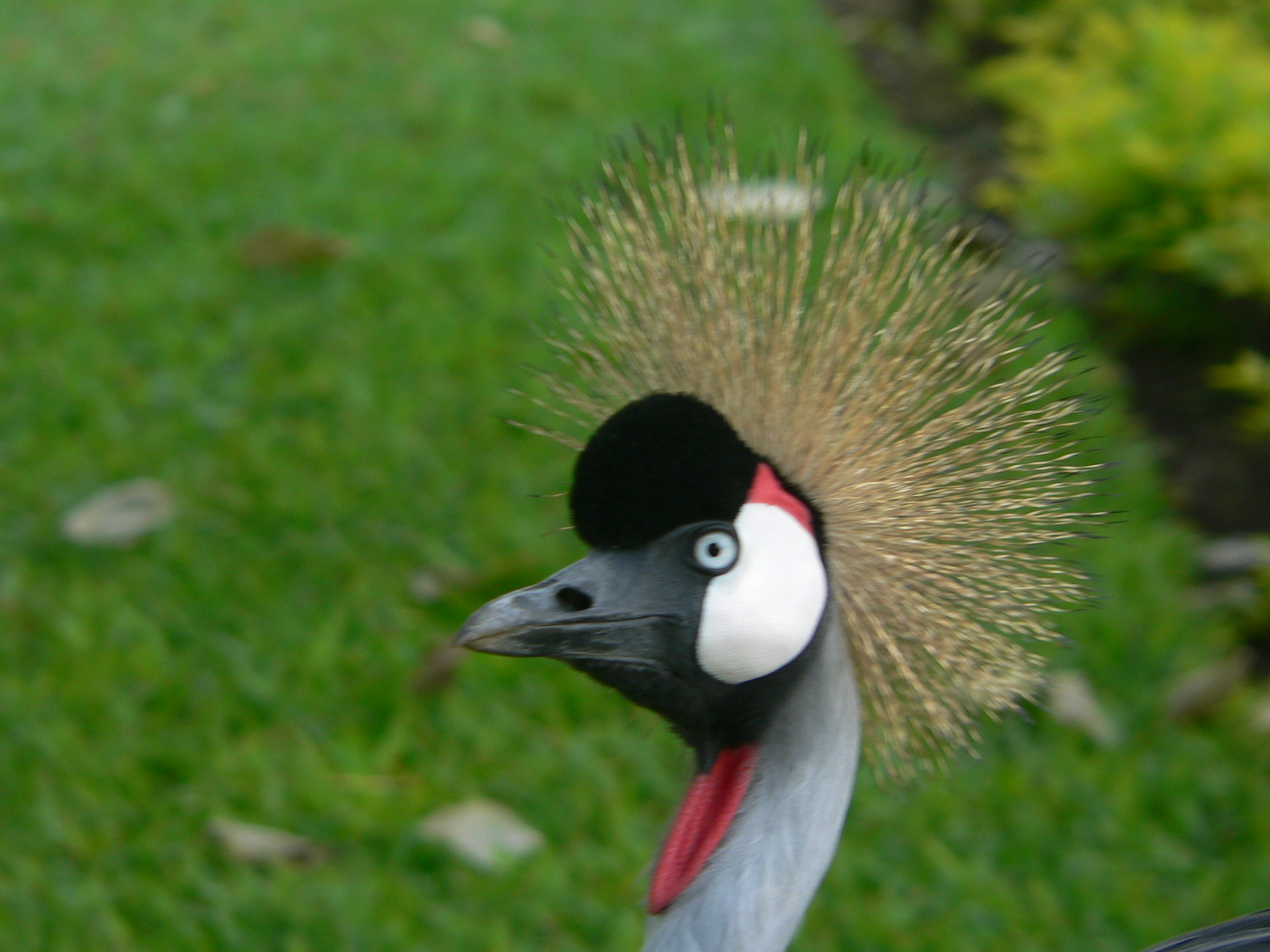 2008-10-25--12.47.34.jpg