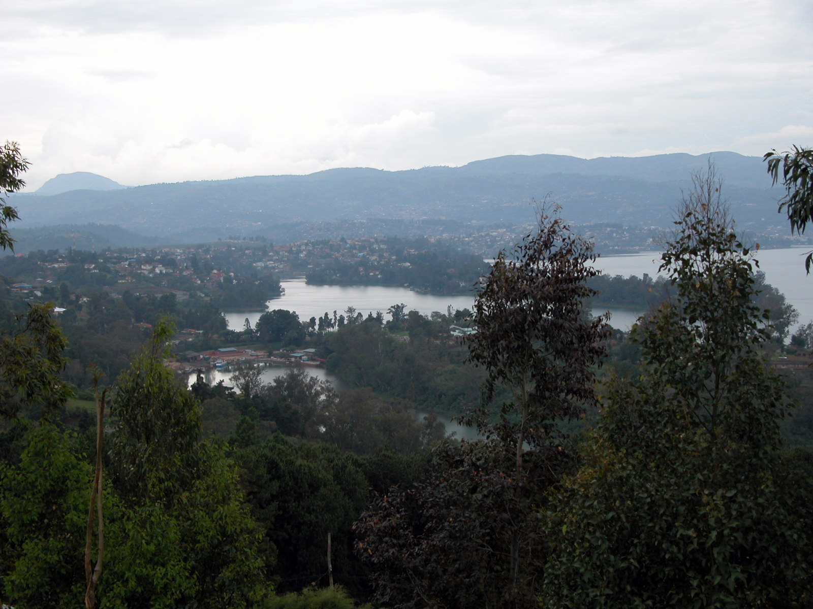 2008-10-12--10.44.11.jpg
