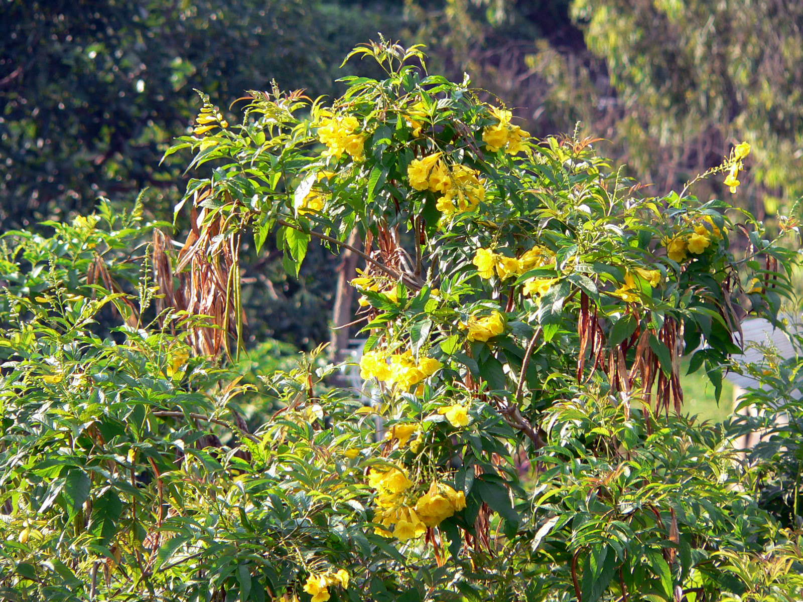 2008-10-18--07.20.22.jpg