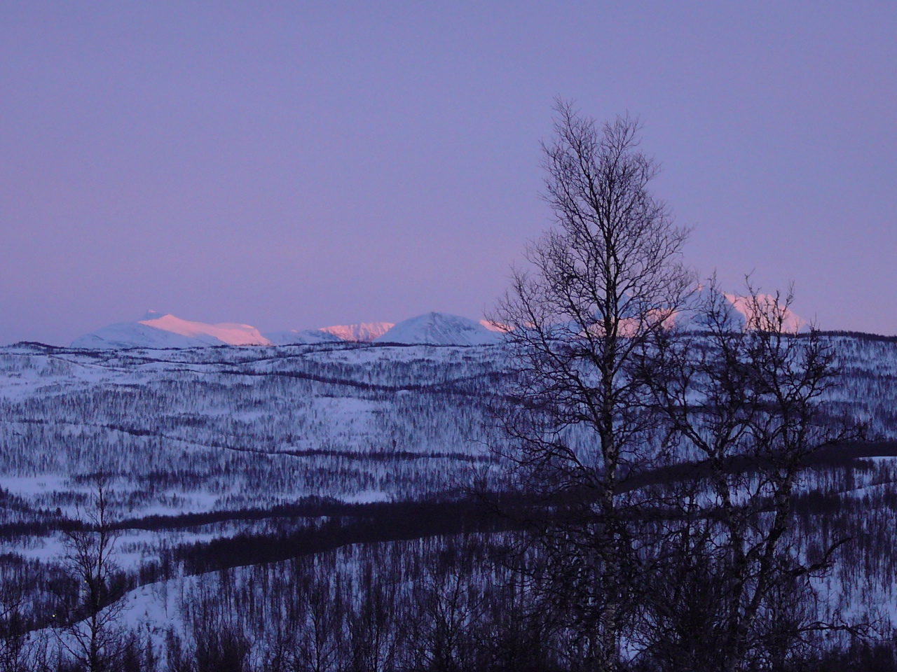 2011-03-11--17.22.04.jpg