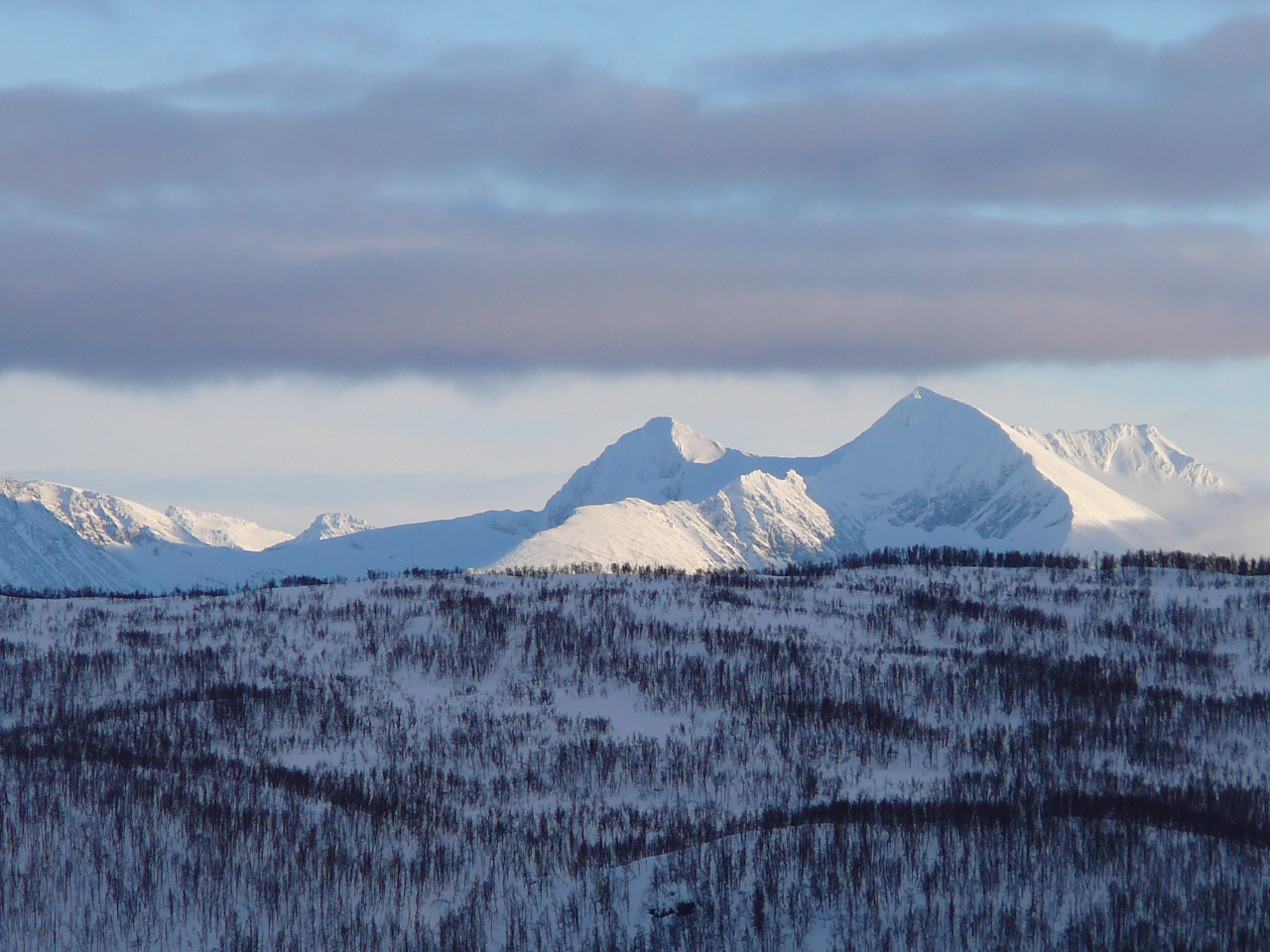 2011-03-12--16.03.35.jpg
