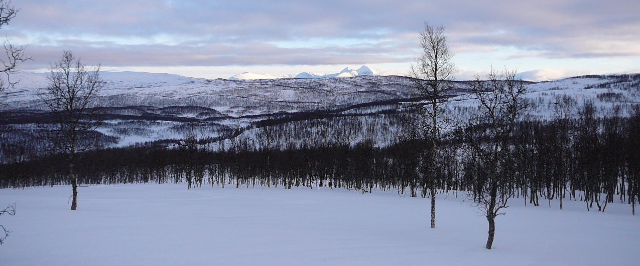 2011-03-12--16.03.51.jpg