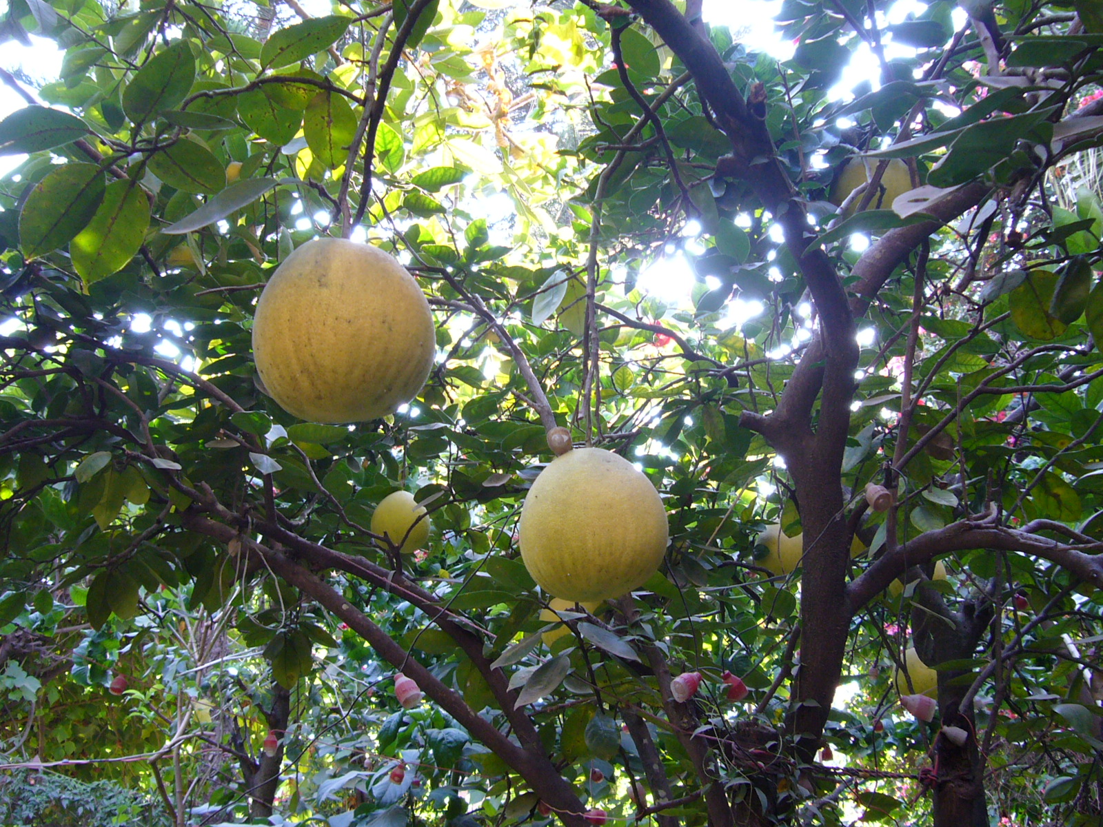 2012-11-06--11.43.00.jpg