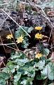 1440