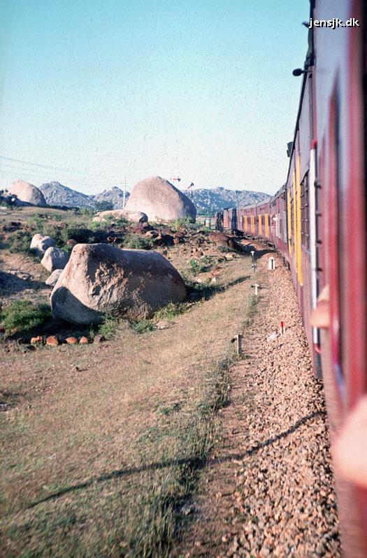 2516