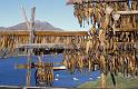 4509