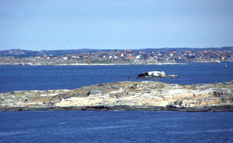 7051