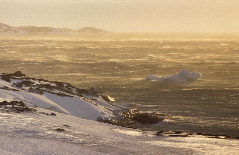 7316